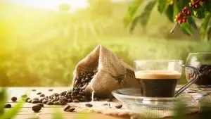 Kaffebønner